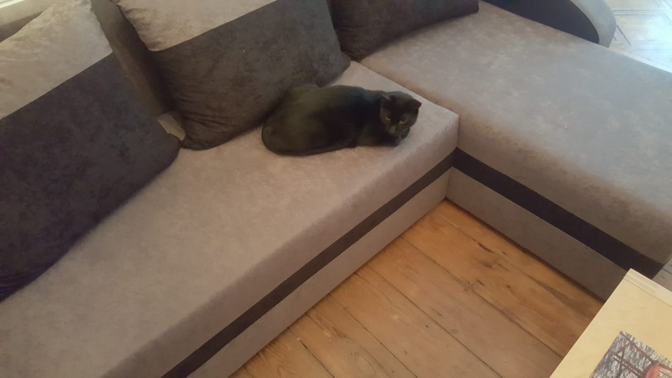 CORNER SOFA BED VELVET GREY BLACK 236cm / FOAM