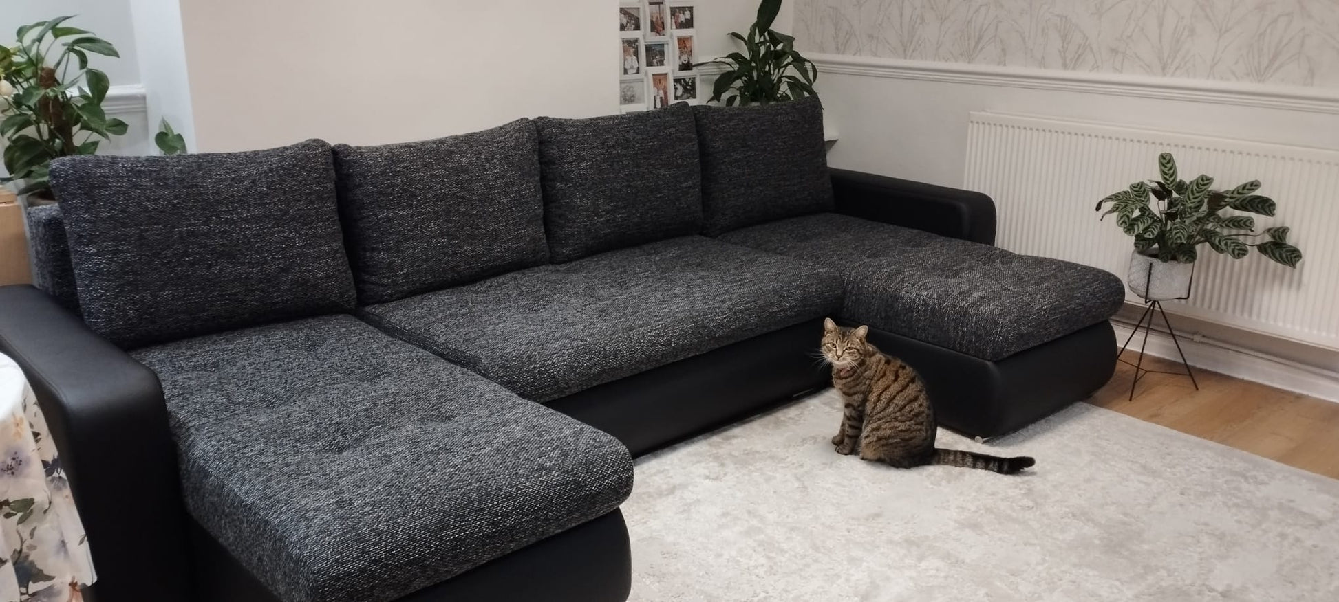 CORNER SOFA BED DAVY U 300CM CHOICE OF COLORS / BONNELL SPRING + FOAM