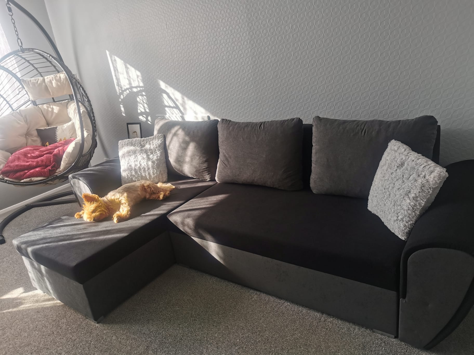 UNIVERSAL CORNER SOFA BED IRIS BLACK/GREY 260CM  / FOAM
